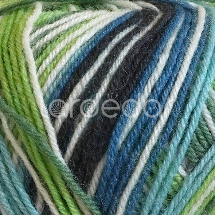 James-C-Brett-Funny-Feetz-4Ply-Sock-Yarn-FZB15-closeup