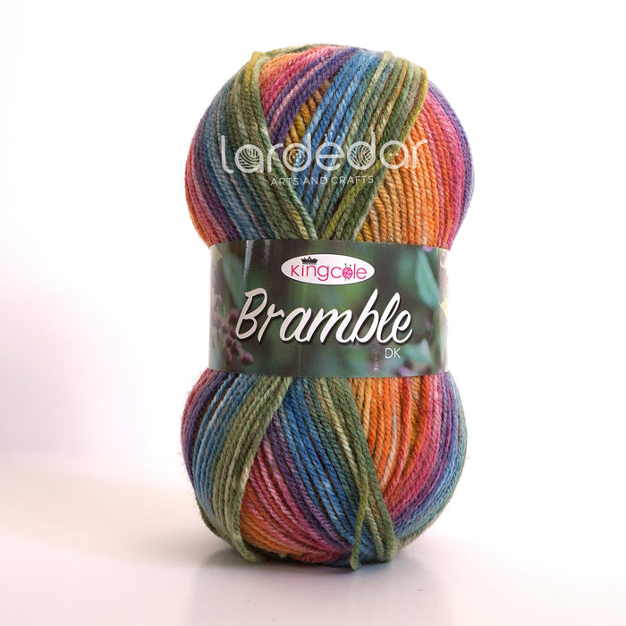 King Cole Bramble DK Yarn in 4486 - Loganberry - 100g Ball of Self Striping Wool