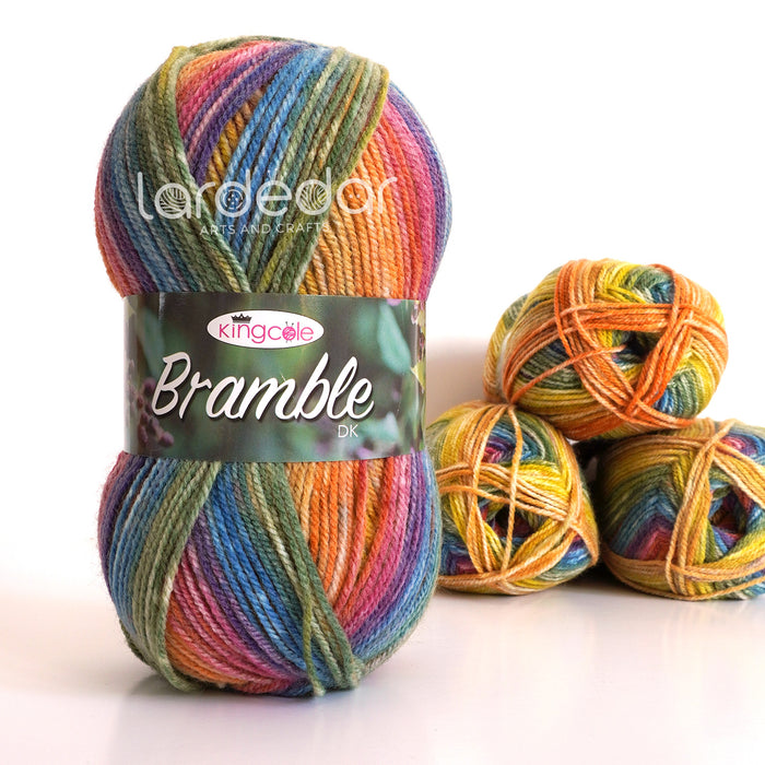 King Cole Bramble DK Yarn in 4486 - Loganberry - 100g Ball of Self Striping Wool